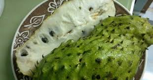 Durian belanda adalah penawar sebenar barah. Rupanya Inilah 27 Khasiat Buah Durian Belanda Yang Disembunyikan Dan Semakin Jarang Kita Temui Sekarang Mohon Sebarkan Rahsia Ini Media Santai