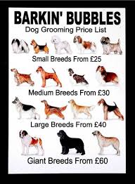 It could also be that he likes the sample treats they give him at each visit. Price List Personalised Dog Grooming Salons Dog Grooming Diy Dog Grooming Shop