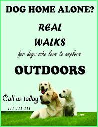 Dog Walking Flyers Template Dog Walking Flyer Dog Walking Dogs