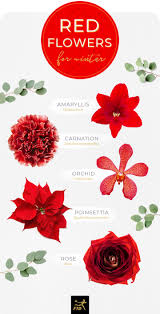 Mar 29, 2021 · whether you need new ideas for your garden, want to change your wallpaper to an image of flowers, or you want to look at pictures of pretty blooms, we've rounded up tons of images of different. 40 Types Of Red Flowers Ftd Com