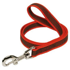 Résultat de recherche d'images pour "laisse chien"