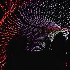 La Zoo Lights Internationaltravelhacks Travelhacksairplane Travelhacksbeach Travelhack Zoo Lights Light Art Installation Outdoor Christmas Light Displays