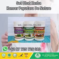 Penyakit kanker payudara di indonesia setiap tahunnya mengalami angka peningkatan yang sangat pesat. Pelbagai Pengalaman Pesakit Kanser Payudara Yang Sudah Sembuh Ubat De Nature Indonesia