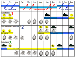 Durian Info Durian Seasons In Durian Production Areas