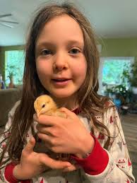 Looking for an alternative automatic door for the aspen 10. The automatic  door that came with it has now been sent back unfortunately. Ive seen the  omlet being mentioned but are there