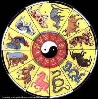 Chinese Year Chart Dr Nikki