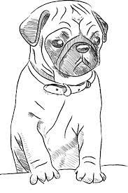 Man's best friend has a funny way of communicating sometimes, but almost everything your dog does has meaning. Free Printable Drawing Pages Of Wolves Dog Drawing Simple Puppy Sketch Pug Art