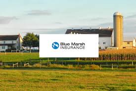 Maybe you would like to learn more about one of these? Insurance Agency In Fleetwood Pa Blue Marsh Insurance