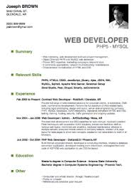 Sample Of A Beginner S Cv Giga Cv