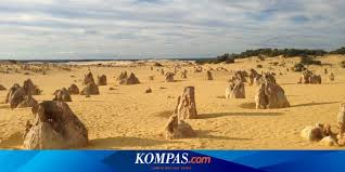 Gurun merupakan wilayah yang memiliki cuaca panas sangat ekstrim. The Pinnacles Padang Pasir Di Perth Yang Dipenuhi Ribuan Batu Karang Halaman All Kompas Com