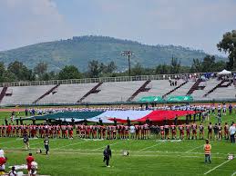 Toros Infantil Celaya added a new...