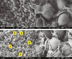 The page provides the exchange rate of 299 indian rupee (inr) to euro (eur), sale and conversion rate. Uranium Biosorption By Immobilized Active Yeast Cells Entrapped In Calcium Alginate Pva Go Crosslinked Gel Beads