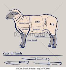 Vector Lamb Cuts Diagram
