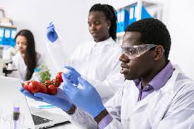 Discover a new food source for people or animals. Food Science Ms Wsu Online Washington State University