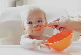 14 Months Old Baby Food Ideas Along With Recipes