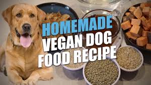 Vegan puppy diet recipes : Homemade Vegan Dog Food Recipe The Healthiest Option Youtube