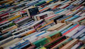 Image result for nigerian vendors books