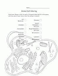Plant and animal cell coloring page answer key author name : Animal Cell Coloring Page Coloring Home