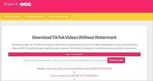 10 Best Ways To Download Tiktok Video Without Watermark