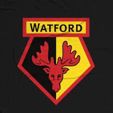 All scores of the played games, home and away stats, standings table. Watford Football Club On Twitter We Are Delighted To Confirm The Signature Of Striker Joshua King The Norway International Has Agreed A Two Year Contract With A Club Option For A Further