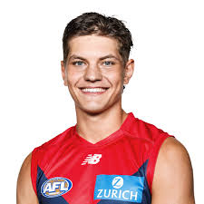 Official AFL Website of the Brisbane Lions Football Club