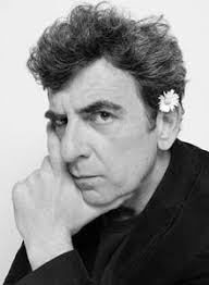 Alfie und der Clownfisch. Buch von Davina Bell (Insel Verlag)