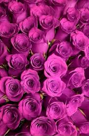 Pin By Naiara Alves On Roses Flower Backgrounds Flower Wallpaper Flower Aesthetic