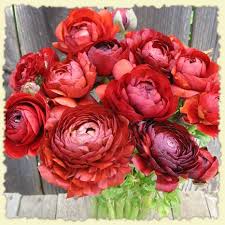 Wedding bouquets red turqouse and black. Red Black Turquoise