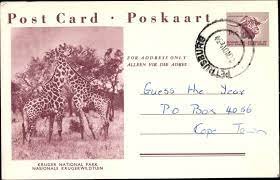 Postbus 8677 3009 ar rotterdam t: Postal Card Postcard Sudafrika Kruger National Park Akpool Co Uk