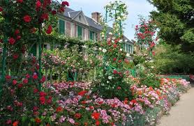 Mawar liar terdiri dari 100 spesies lebih, kebanyakan tumbuh di belahan bumi utara yang berudara sejuk. Bunga Mawar Jenis Harga Dan Tanaman Bunga Mawar