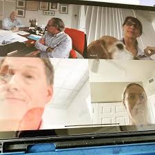 Jackie Bain (@healthlawyerjackie) • Instagram photos and videos