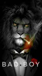 Bad Boy Lion Live Wallpaper Lion Wallpaper Lion Pictures