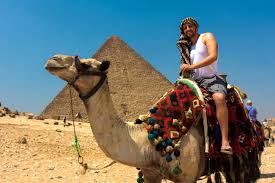 _ 2 the crime of deliberately setting fire t … o a building: How To Plan Your Gap Year In Egypt Go Overseas
