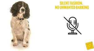 English springer spaniels adapt well to town or city life. Best Collars For Springer Spaniels Report On Top Selling Models Of 2021