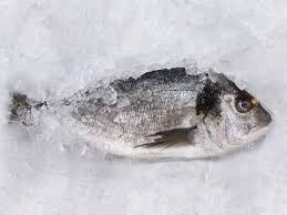 We did not find results for: Here Is How Long You Can Keep Your Fish Fresh In The Fridge The Times Of India