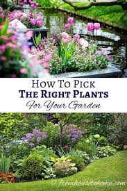 Choosing Plants How To Pick The Right Plants For Landscaping Your Garden Gardening From House To Home Plants Low Maintenance Garden Landscaping Plants