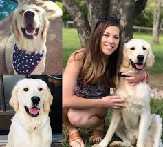 I have bred dogs for over 20 years as a home breeder. Goldendoodle Breeders Texas About Hill Country Goldendoodles