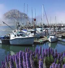 Ocean Health Is Buoyed by the Fourth “Our Ocean” Conference in Malta