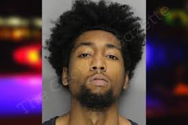 Damarea Mitchell — Cobb County Jail Bookings