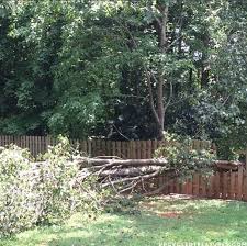 Nr photography design ideas for a farmhouse landscaping in portland. How To Make Wood Slice Art From Branches Mountainmodernlife Com