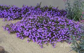 Pin On Garden Ideas