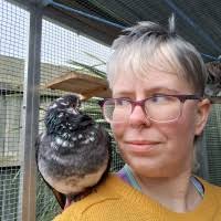 2500+ perfiles de «Escher»