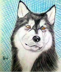 مجرة الفنون أجمل 55 رسم بالرصاص في 2012 رسومات بقلم الرصاص و الفحم رائعة drawings animals dogs