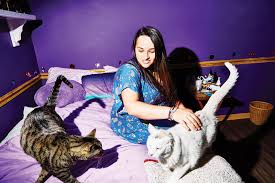 Jazz jennings joins us to talk about her show on tlc, i am jazzbuild is a live interview series like no other—a chance for fans to sit inches away from som. Jazz Jennings On Breaking Barriers For Trans Youth With I Am Jazz Variety