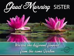 Maybe you would like to learn more about one of these? Good Morning Family Quotes And Images 81 Quotes X