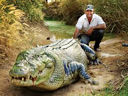 The crocodilian family includes alligators, crocodiles, caimans, and gharials. Matt Wright The Monster Crocodile Catcher Business Destinations Make Travel Your Business