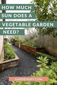 Look every couple of hours or so to determine the total hours of sunlight the garden area will receive. How Much Sun Does A Vegetable Garden Need Gardenary
