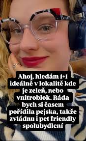 Zdravím, s kamarádem hledáme bydlení v Brně, ideálně 2+1, nebo 3kk (2  pokoje neprůchozí). Byli bychom velmi rádi, kdyby nájem činil max 24 tisíc  včetně energií. Oba jsme pracující, já (OSVČ), již