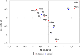 Image result for Acroceras amplectens