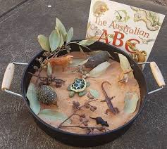 Australian Kmart Play Tray With Echidna Turtle Goanna Wombat And Australian Abc Alphabet Literacy Book Small World Play Family Day Care Australia Crafts